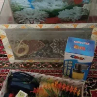 فروش آکواریوم با کلیه وسایل|ماهی|شهرکرد, |دیوار