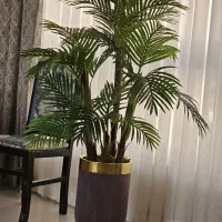 گلدان مصنوعی در حد نوع ارتفاع 180 و گلدان 50 سانت