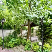 پلاک یک جنگل ۳۰۰ متری مگه داریم