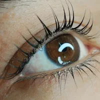 آموزش حرفه ای صفرتاصد لیفت فقط۹۹۹تومان تا یک هفته