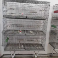 قفس جوجه پران پژاوندی