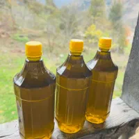 باسلام روغن زیتون علا ورب انارملس ارگانیک