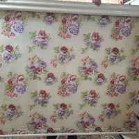 پرده زبرا دو مکانیزم