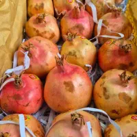 انار|خوردنی و آشامیدنی|قم, زاد|دیوار