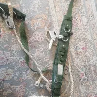 کمربند ایمنی