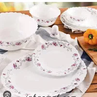 آرکوپال گل بنفش فله ای بصورت سرویسParsopal چکی