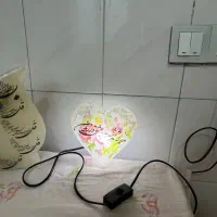 دو عدد سنگ نمک تزئینی طرح دار
