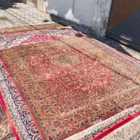 فرش قدیمی ب صورت تکی و کلی|فرش|رشت, کوی مهر|دیوار