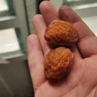 آلو بخارا درجه یک آبجوشی|خوردنی و آشامیدنی|شیراز, ریاستی|دیوار