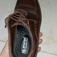 نیم بوت و کفش نو|کیف، کفش، کمربند|پردیس, فاز ۱۱|دیوار