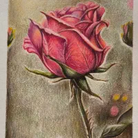 گوشی ۱۳T pro شیایومی