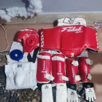 هوگو تکواندو