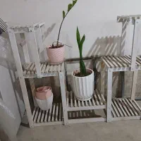 استند گل