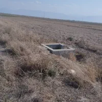 زمین|اجارهٔ دفتر صنعتی، کشاورزی، تجاری|گنبد کاووس, |دیوار