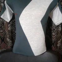 تیشرت اسپرت مردانه.کلی،جزئی|لباس|مشهد, شهرک امام هادی (شهرک غرب)|دیوار