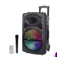 اسپیکر و پارتی باکس ۱۲ اینچی ndr