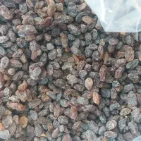 مویز آفتابی کشمش آفتابی شیره صنعتی