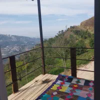 ویلاجنگلی تک خواب دربست