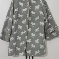 مانتو مجلسی هرمس|لباس|کوهدشت, |دیوار