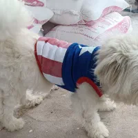 واگذاری شیتزوتریر نر