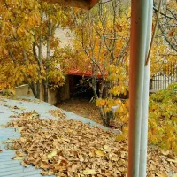 اجاره روزانه باغ ویلا نوستالژی چشمه اعلای دماوند