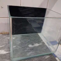 آکواریوم شیشه خم