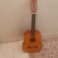 گیتار ویولتCG851