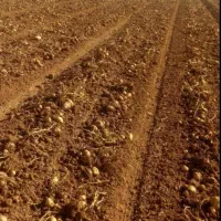 زمین آبی(سیستم قطره بارانی )