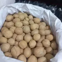 گردو درجه یک|خوردنی و آشامیدنی|اهواز, شهرک دانشگاه|دیوار