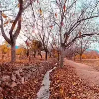 زمین مسکونی بافت روستایی فوق العاده