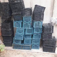 سبد میوه وگوجه..