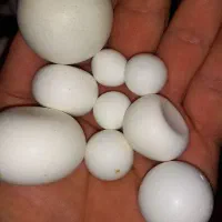 سنگ اسیاب الماس