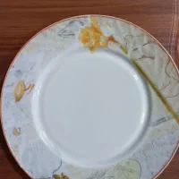 آرکوپال ظرف