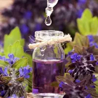 طب سنتی|فعالیت داوطلبانه|تهران, آشتیانی|دیوار