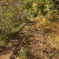 فرصت استثنایی خریدزمین۱۰۰۰۰متری بازیرساخت کامل|فروش زمین و ملک کلنگی|اطاقور, |دیوار