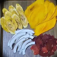 میوه خشک کن|سایر لوازم برقی|کرج, بنیاد|دیوار