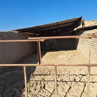 دامداری صنعتی مجزا|اجارهٔ دفتر صنعتی، کشاورزی، تجاری|نیشابور, شهرکهنه|دیوار