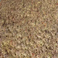 به ۲نفر نیرو کار ساده نیازمندیم