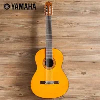 فروش فروی گیتار یاماها c70 اصل