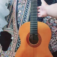 گیتاریاماهاc40