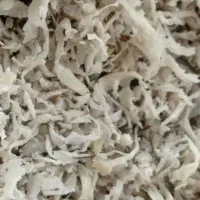 توفال چغندرقند|لوازم جانبی حیوانات|بیرجند, |دیوار