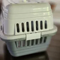 لوازم گربه|لوازم جانبی حیوانات|نوشهر, |دیوار