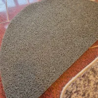 ۴عدد پادری|پادری|قزوین, |دیوار