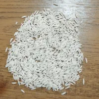 برنج شیرودی (سورتینگ شده)