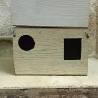 قفس وآغول|لوازم جانبی حیوانات|قوچان, |دیوار