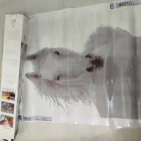 تابلو نگینی از دبی سوغاتی آوردن