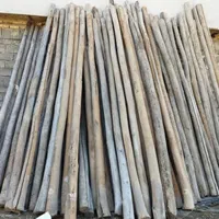 خریدار چوب سقفی|خدمات باغبانی و درختکاری|نیشابور, شهید بهشتی|دیوار