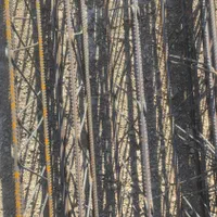 تیرچه بلوک و فوم سقف|خدمات پیشه و مهارت|خرمشهر, |دیوار