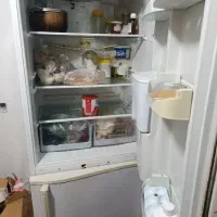 یخجال|یخچال و فریزر|بندرعباس, |دیوار