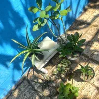 حراج همه باهم هر۷تا۳۷۰هزار